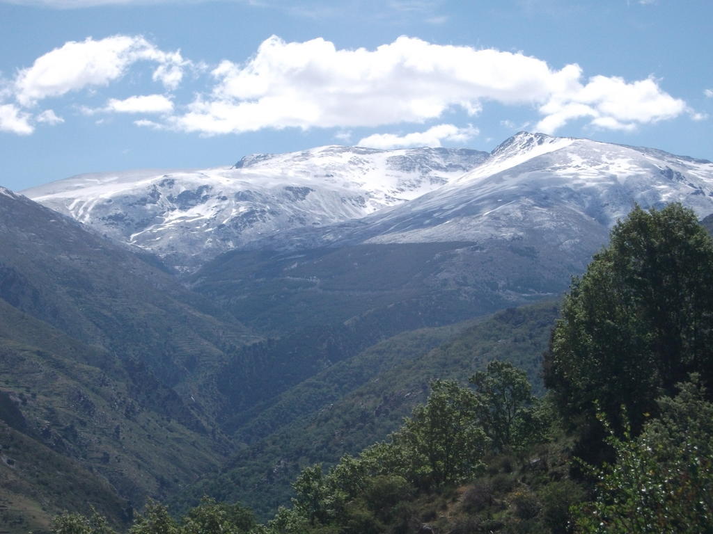 Apartamentos Sierra Nevada Welcome Pokoj fotografie